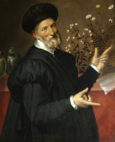 النباتى ، 1570 بواسطة بارتولوميو باساروتي